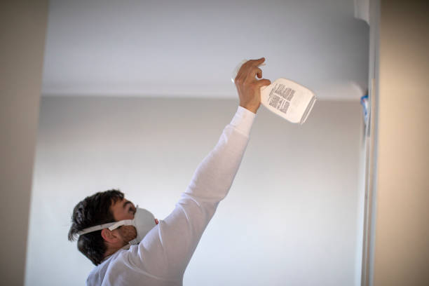 Best Emergency Mold Removal  in Blacklick Estates, OH