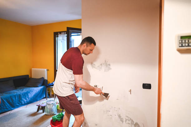 Mold Testing and Removal in Blacklick Estates, OH